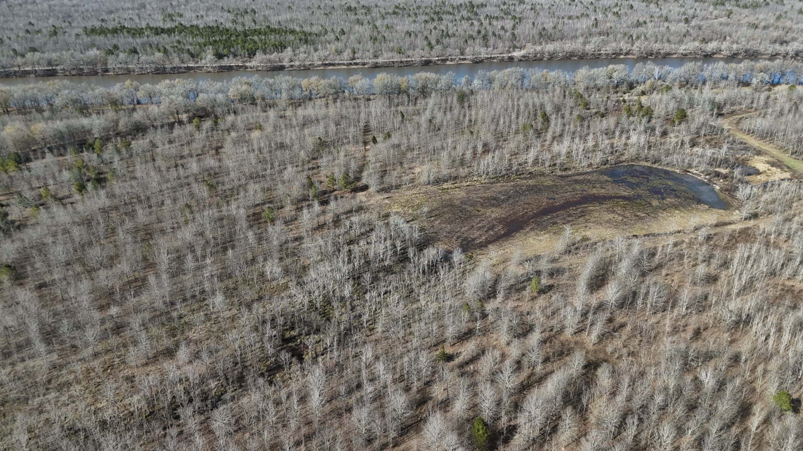 Duck and Deer Hunting Land with a Camp Spot for Sale