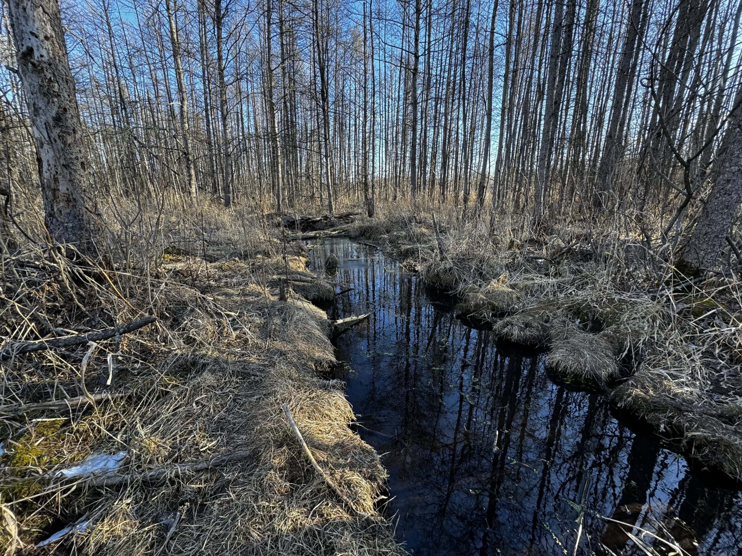 53 acre proven hunting property in Marquette County WI