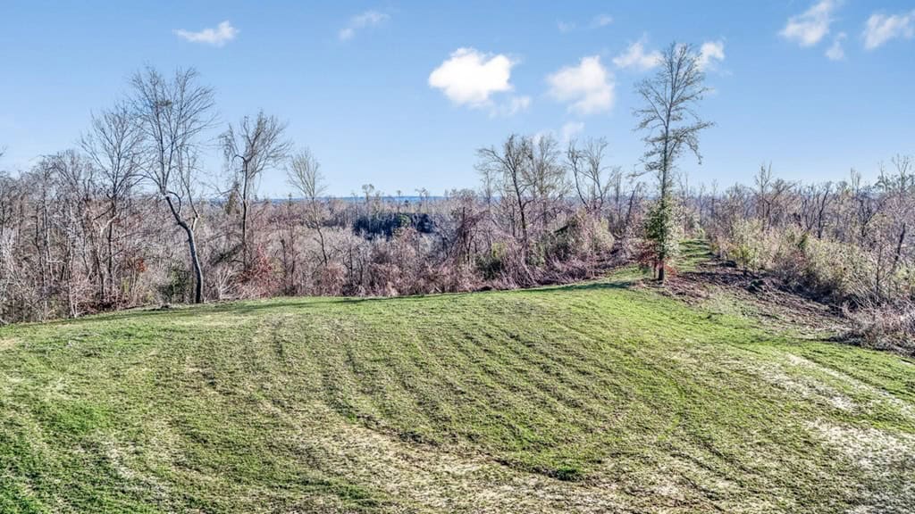 Hunting Land for Sale in The MS Delta