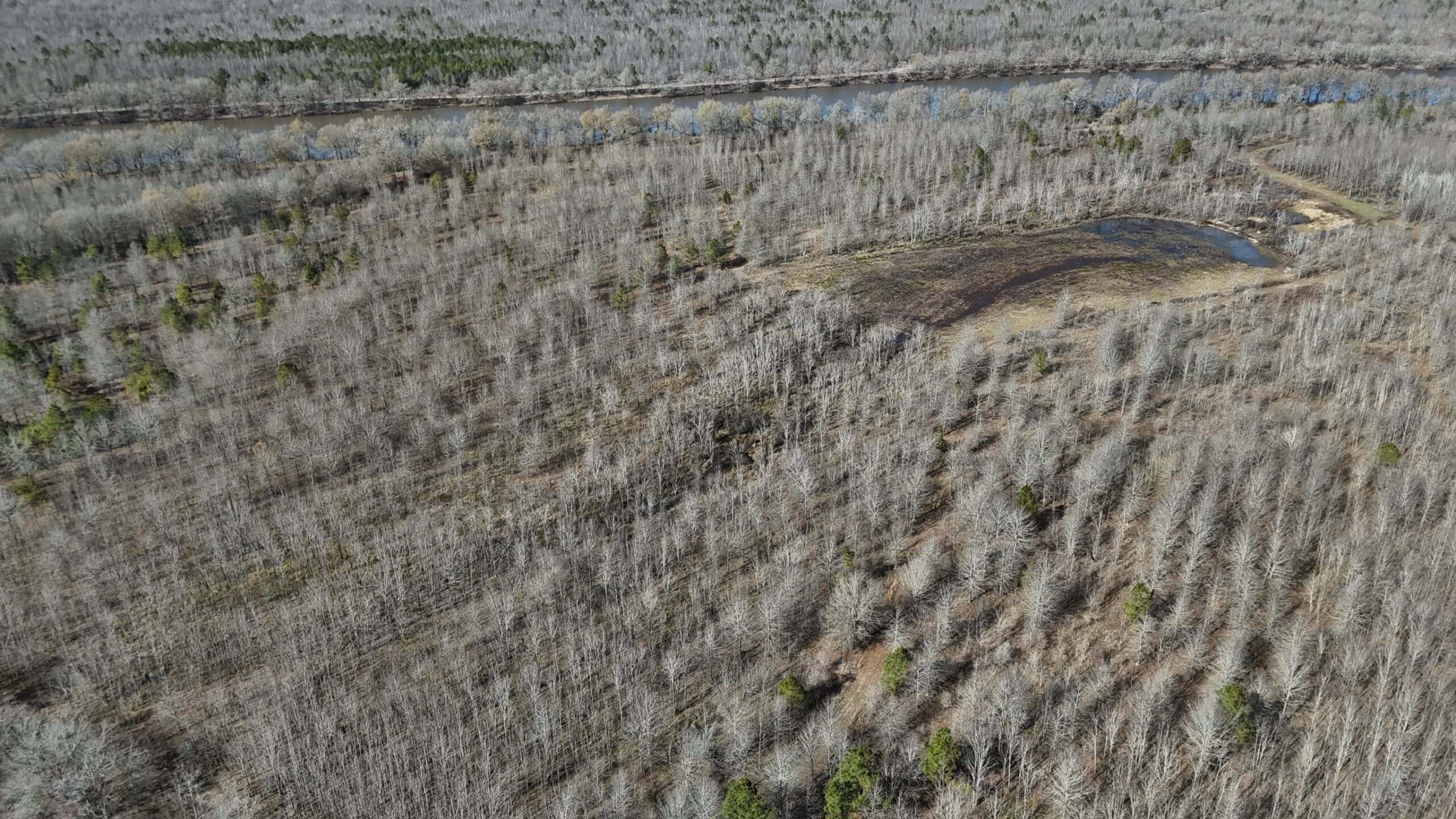 Duck and Deer Hunting Land with a Camp Spot for Sale