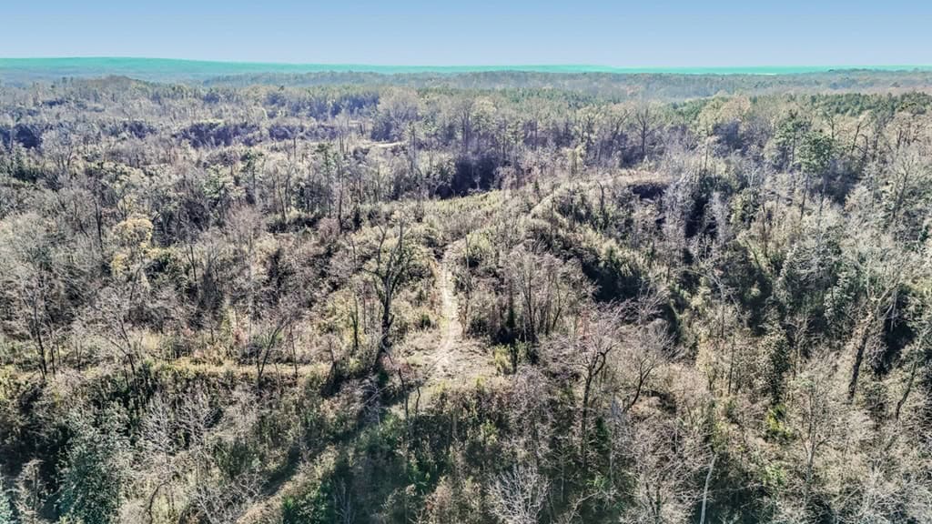Hunting Land for Sale in The MS Delta