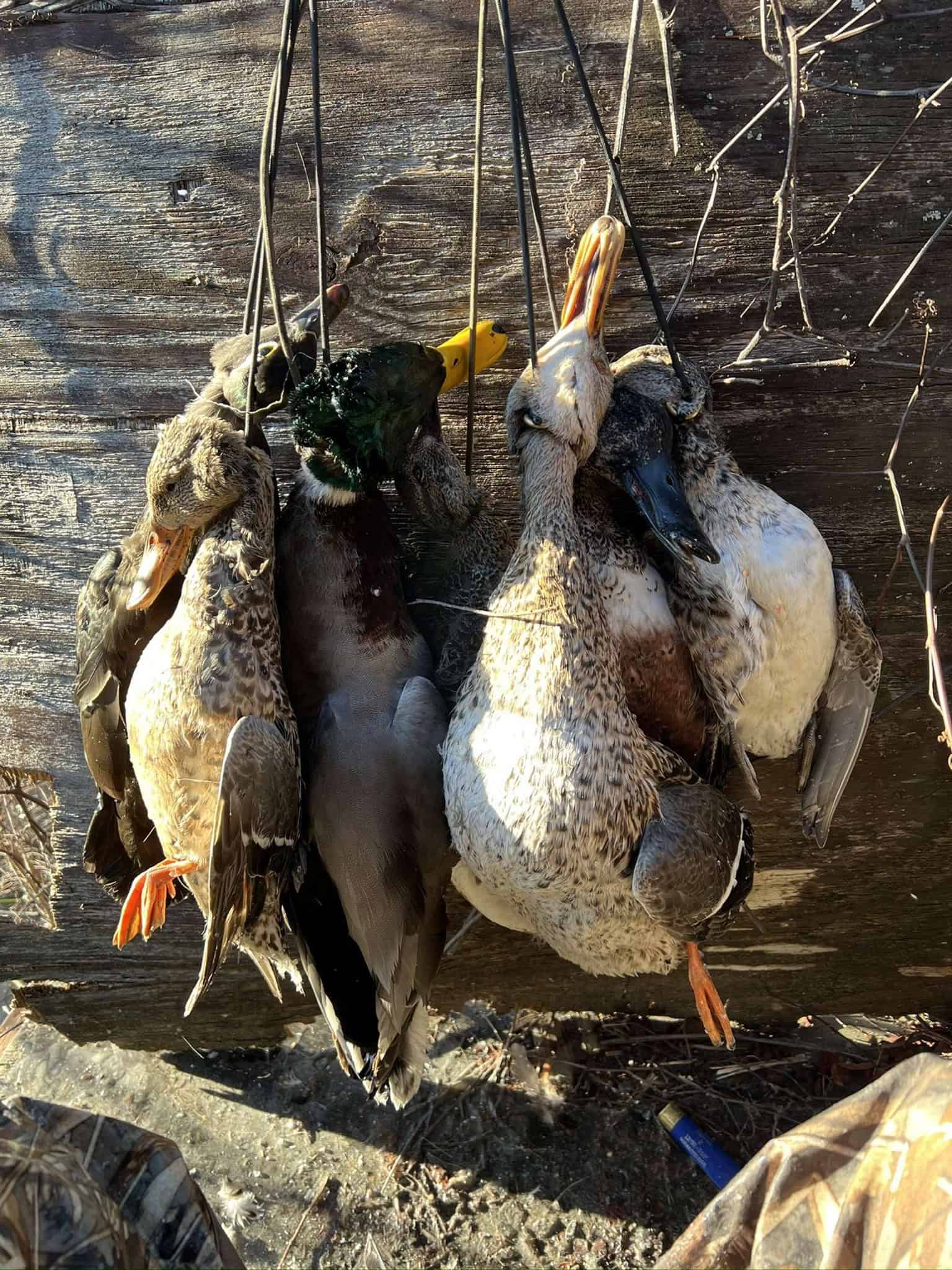Duck and Deer Hunting Land with a Camp Spot for Sale
