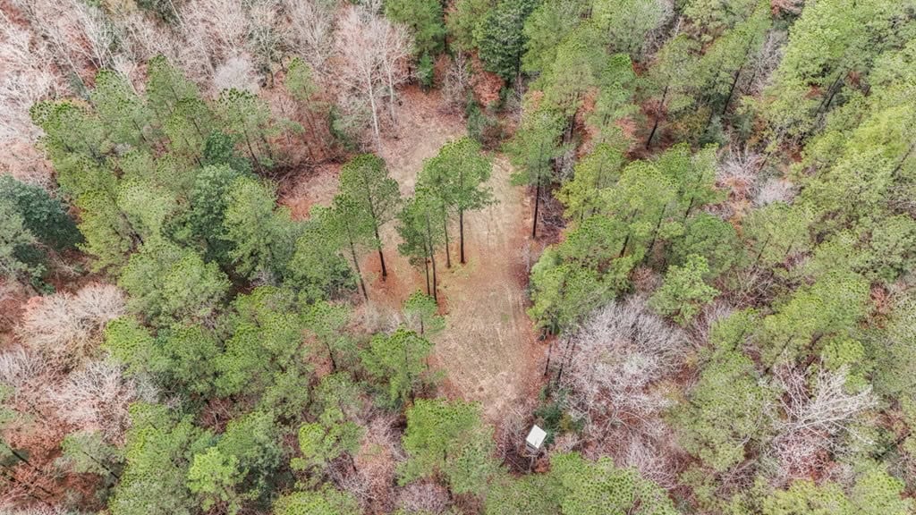 100 Acres in West Feliciana with 2 Bed/1 Bath Camp
