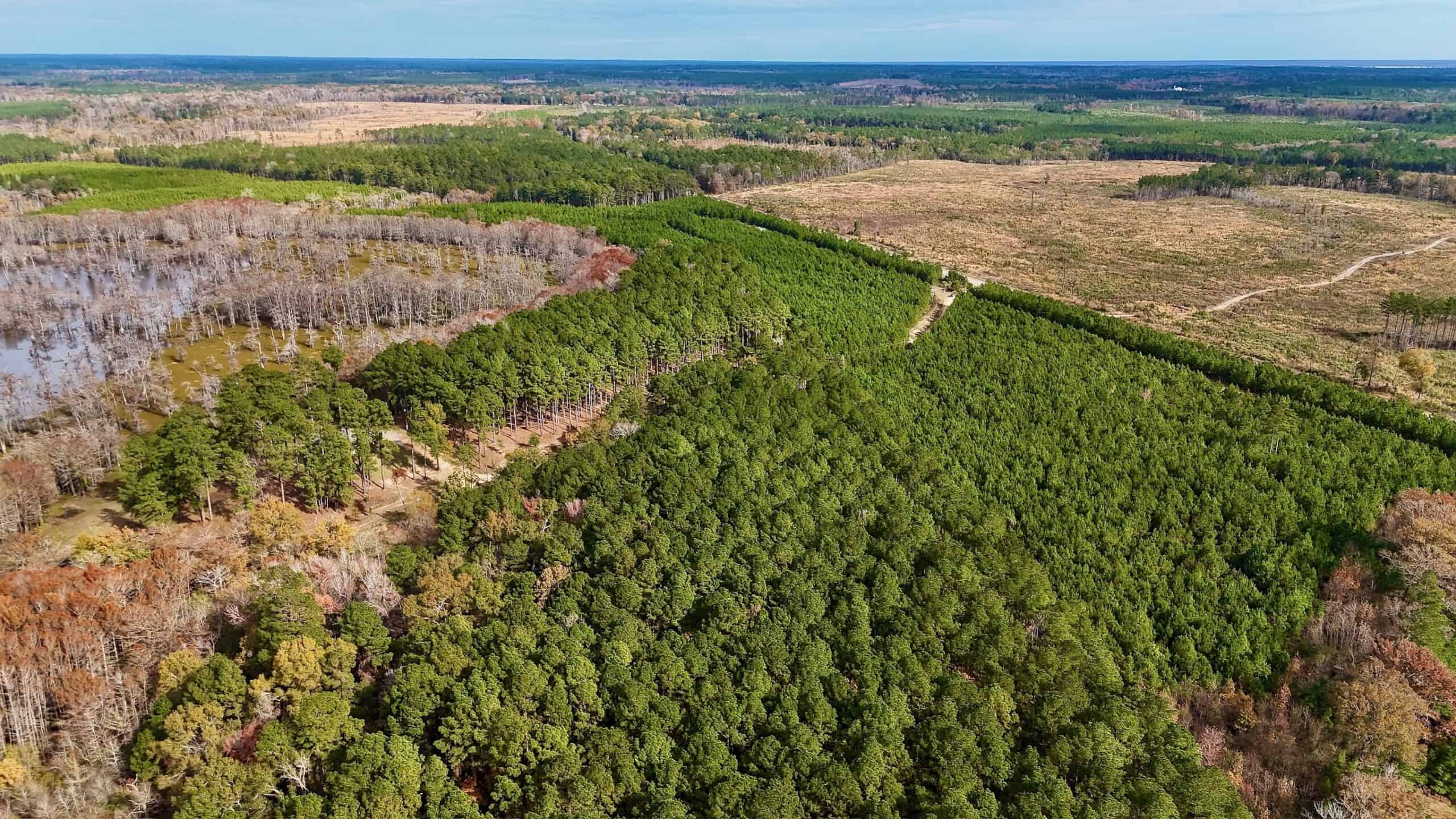 4 Bed 3 Bath House on 125 Acres for Sale In Lasalle Parish