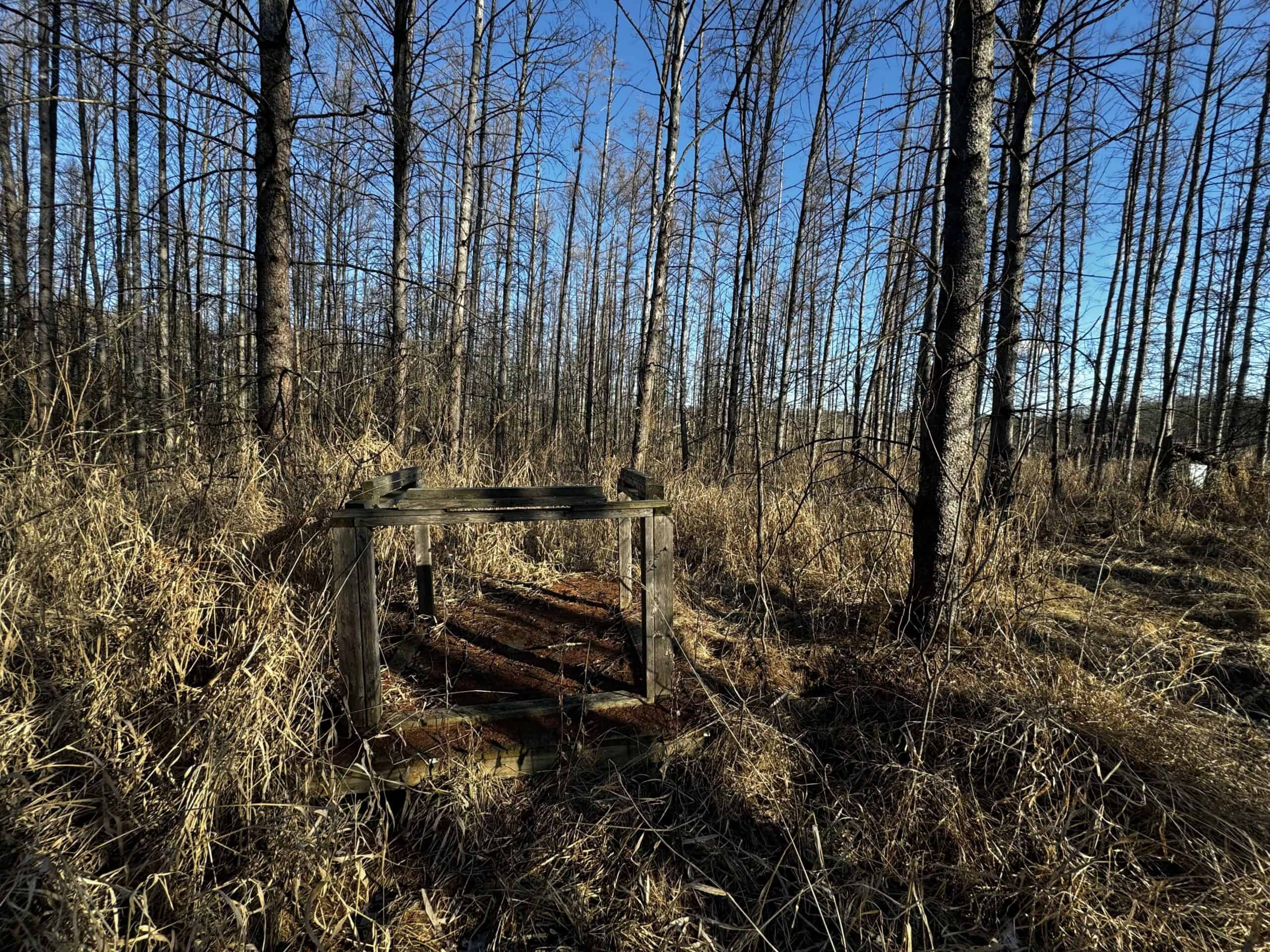 53 acre proven hunting property in Marquette County WI