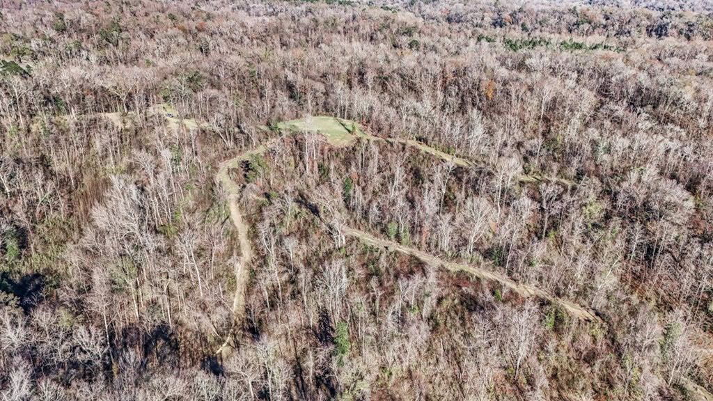 Hunting Land for Sale in The MS Delta
