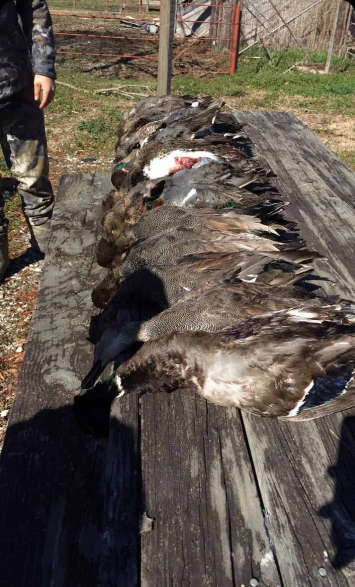 Duck and Deer Hunting Land with a Camp Spot for Sale