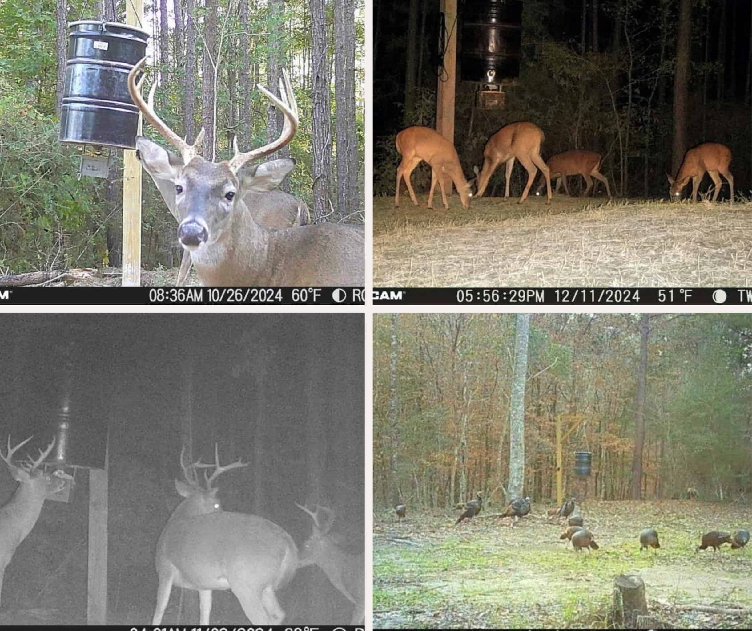100 Acres in West Feliciana with 2 Bed/1 Bath Camp