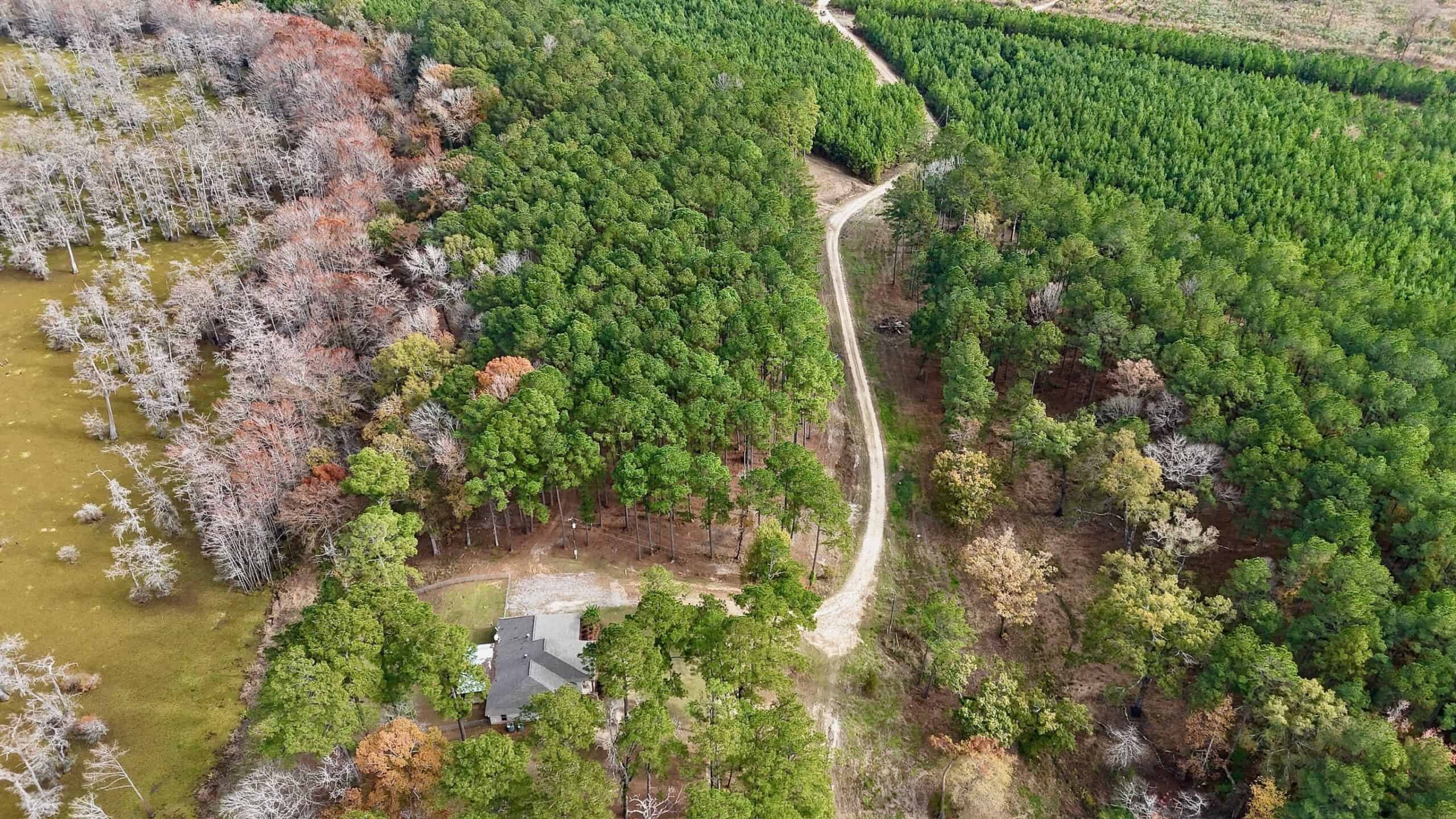 4 Bed 3 Bath House on 125 Acres for Sale In Lasalle Parish