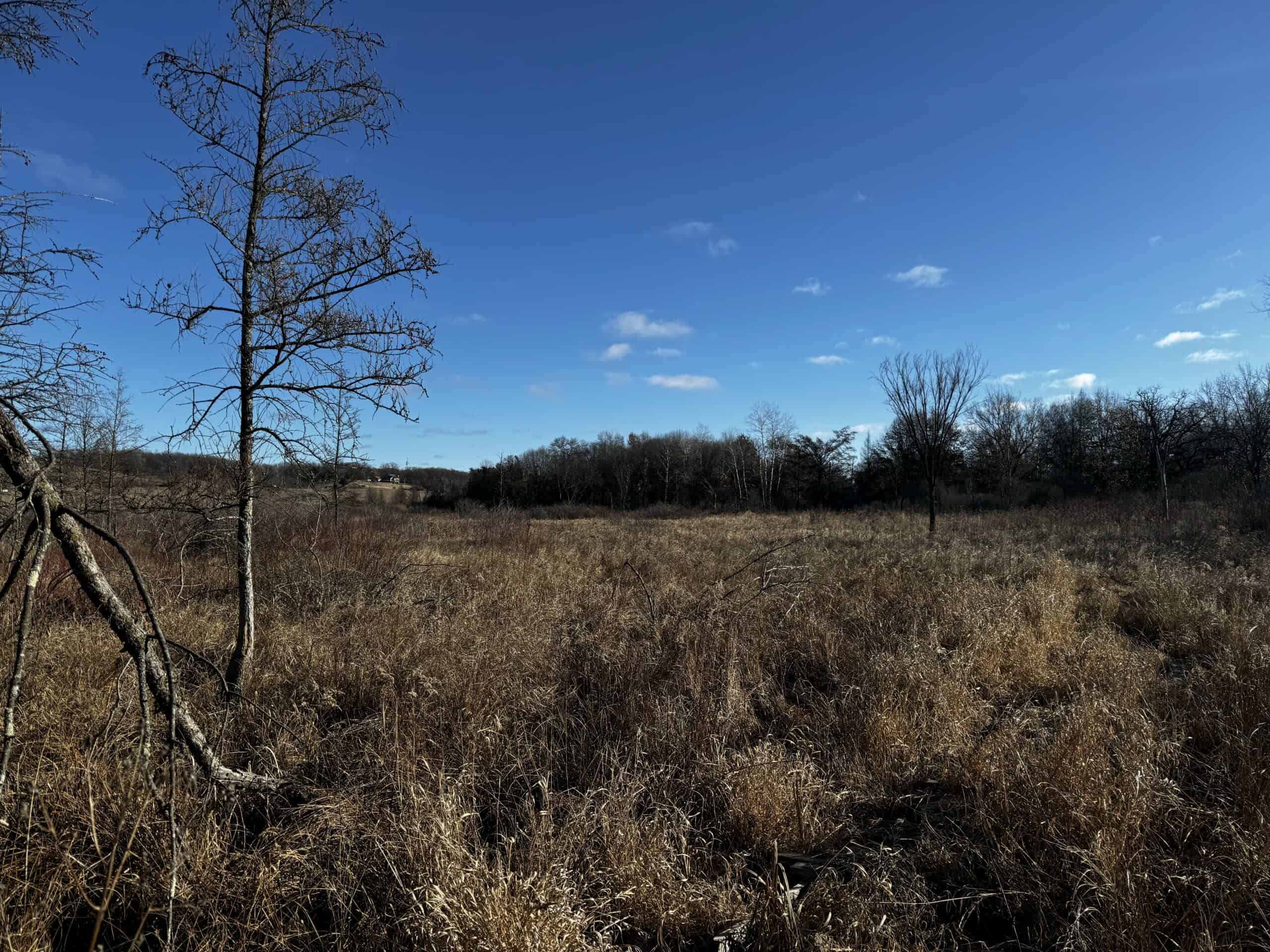 53 acre proven hunting property in Marquette County WI