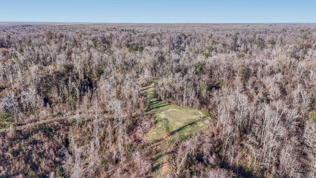 Hunting Land for Sale in The MS Delta