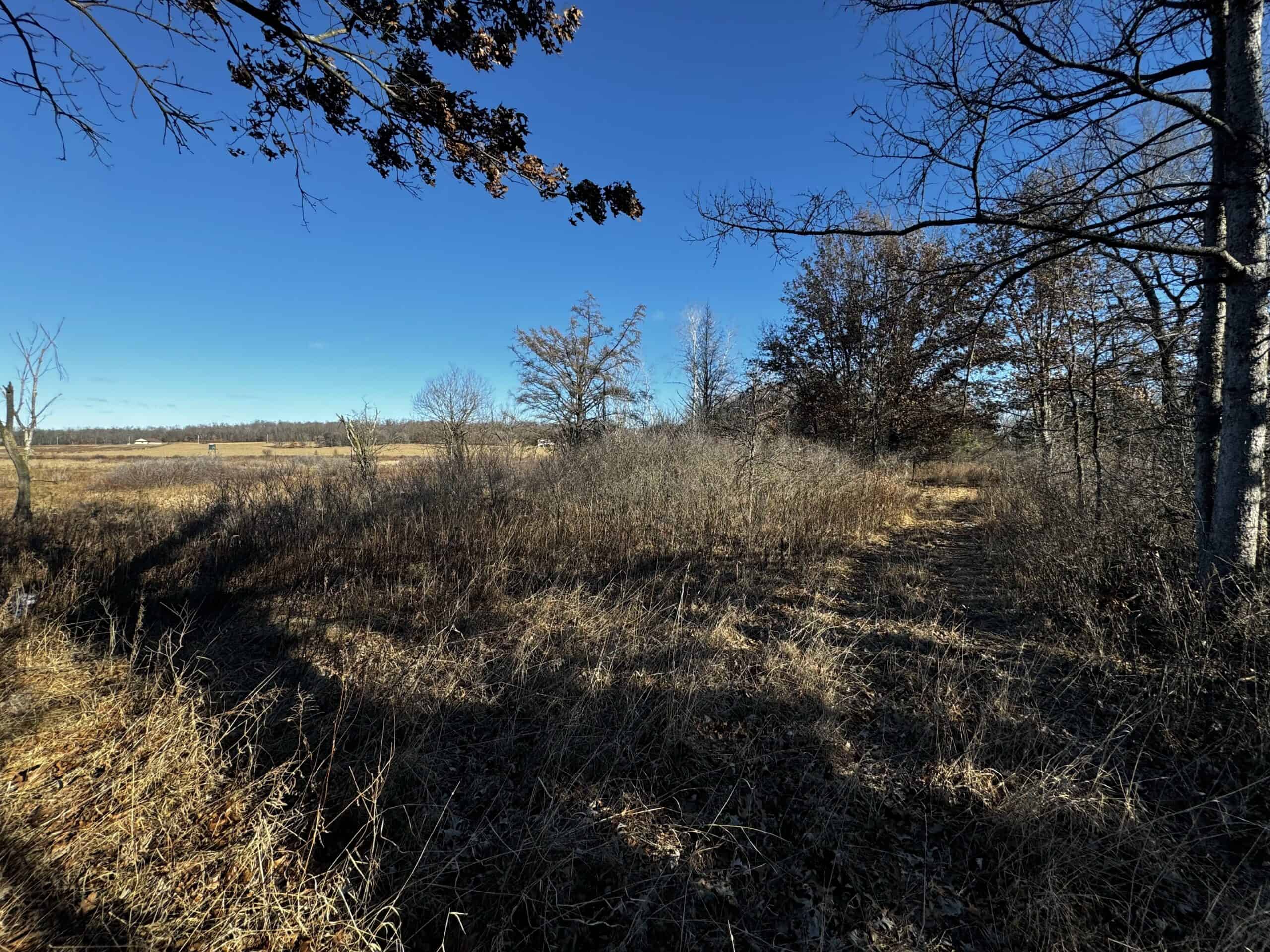 53 acre proven hunting property in Marquette County WI
