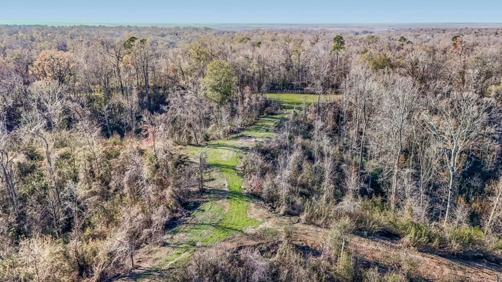 Hunting Land for Sale in The MS Delta