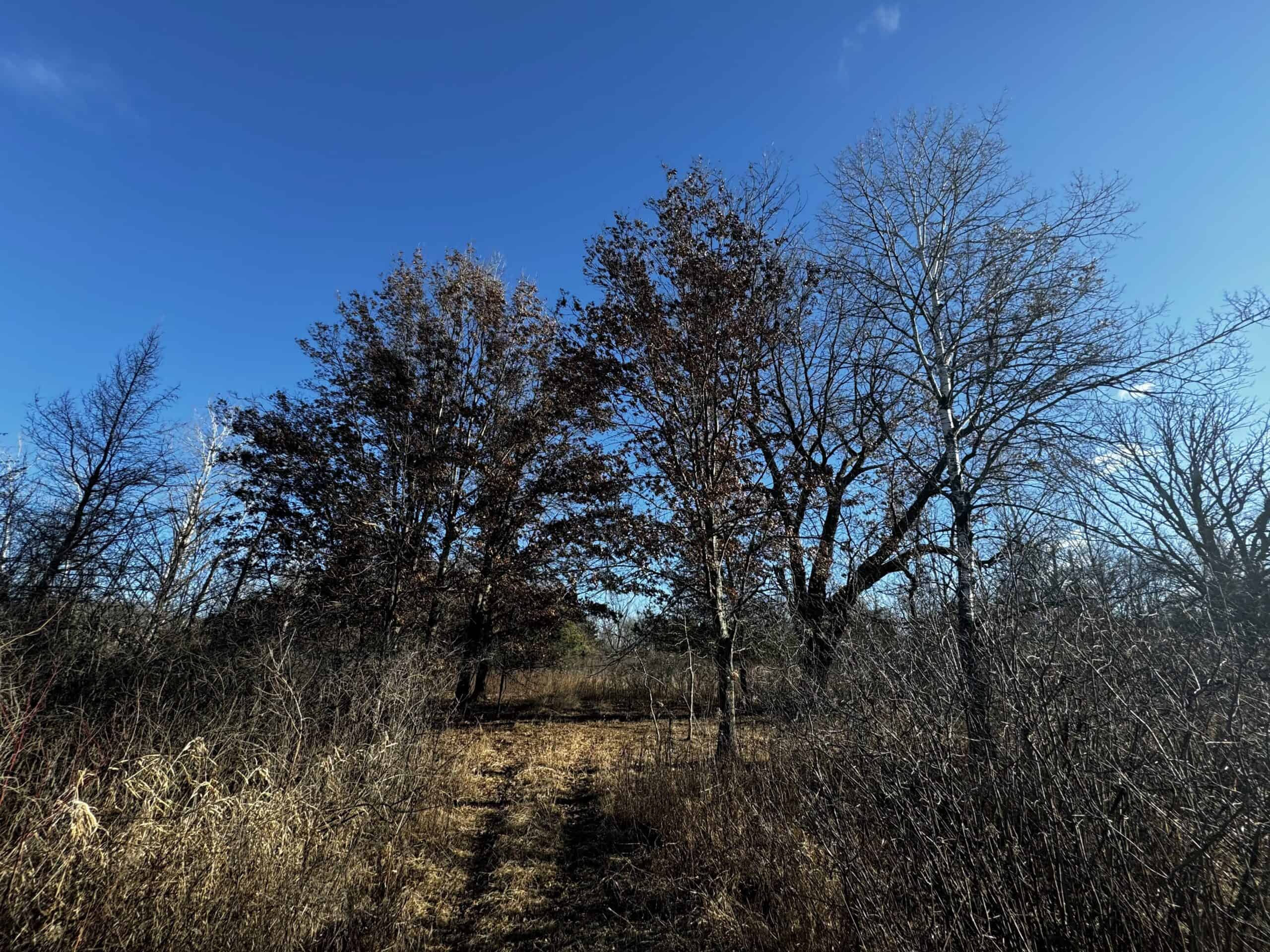 53 acre proven hunting property in Marquette County WI