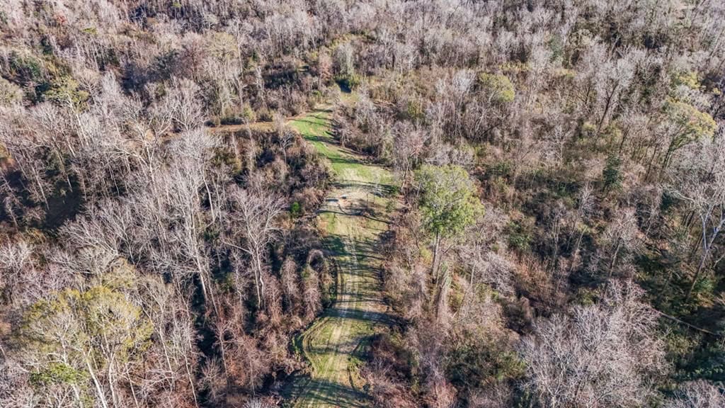 Hunting Land for Sale in The MS Delta