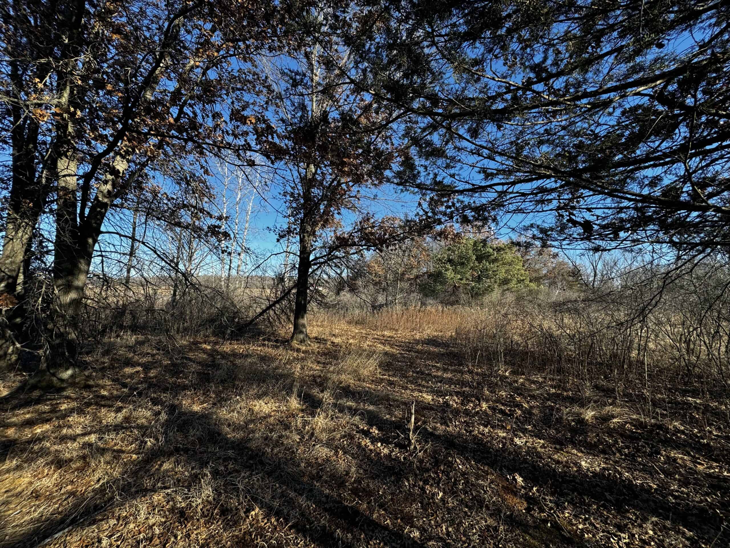 53 acre proven hunting property in Marquette County WI