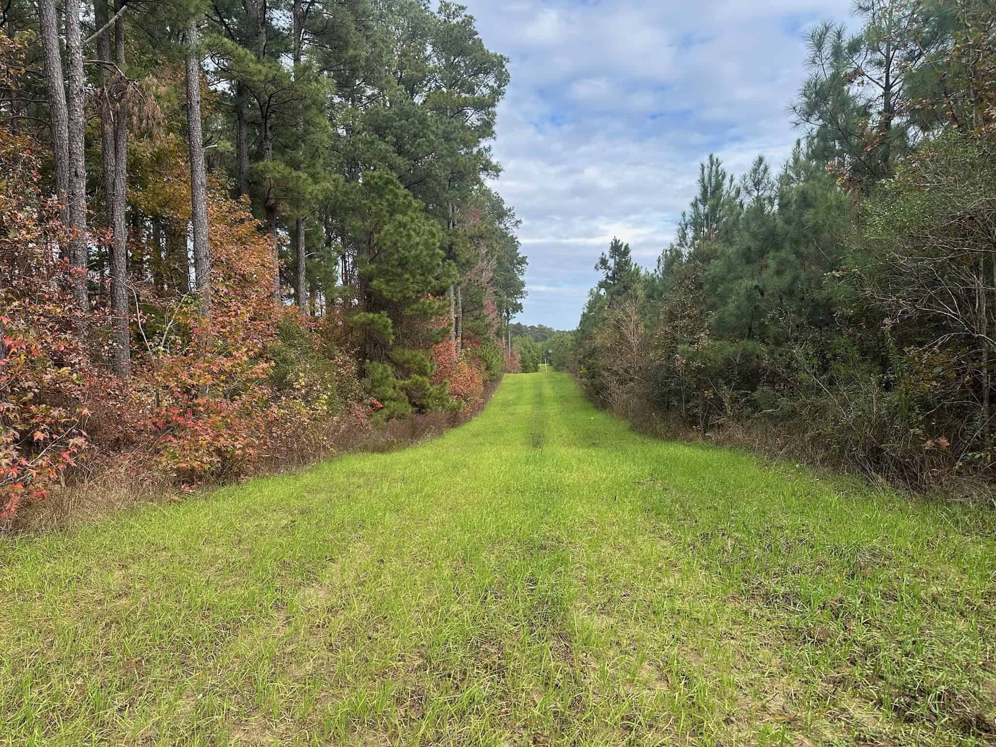 17+/- Acre Homesite and Hunting Property for Sale in Lasalle