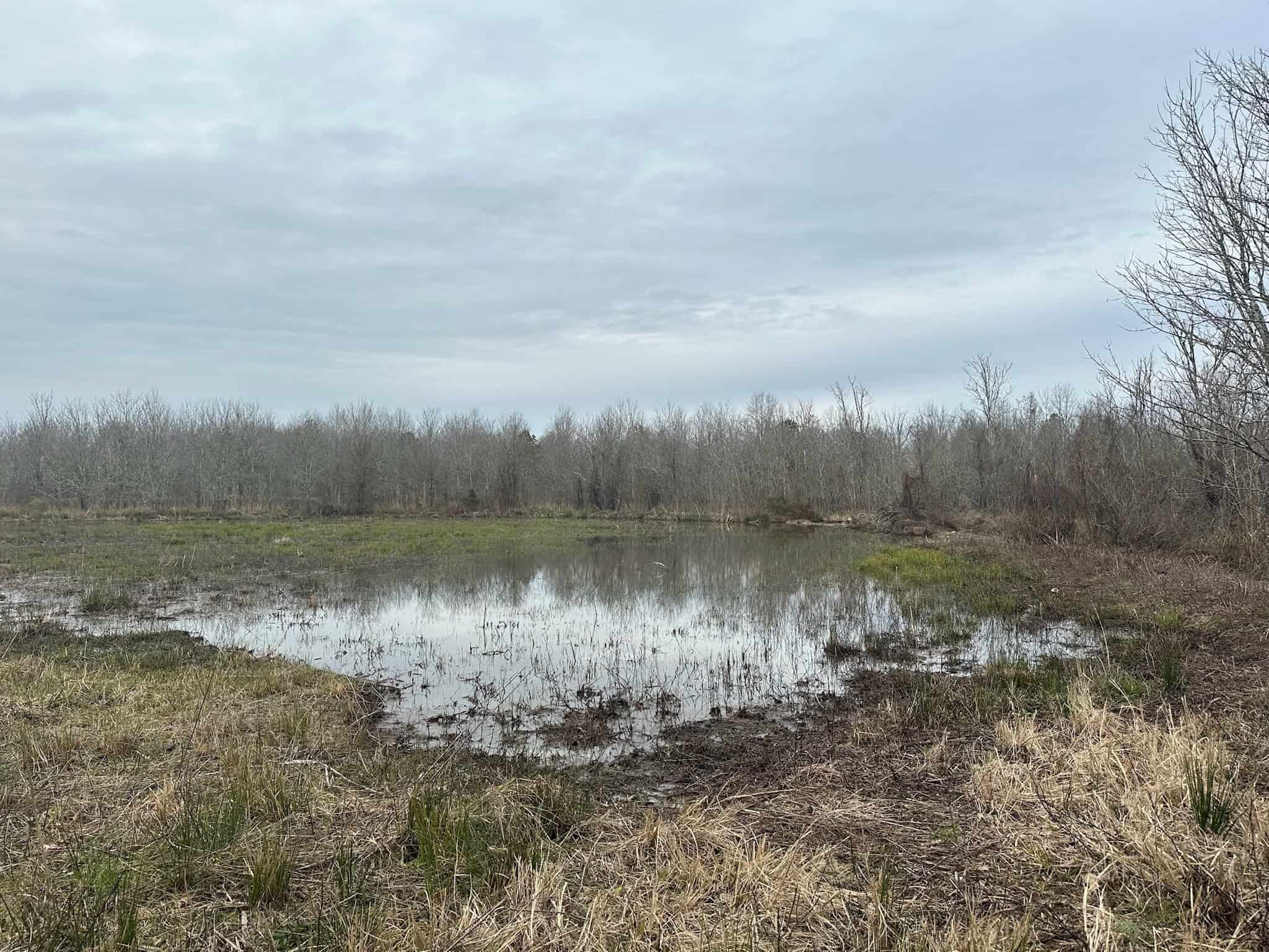 Duck and Deer Hunting Land with a Camp Spot for Sale