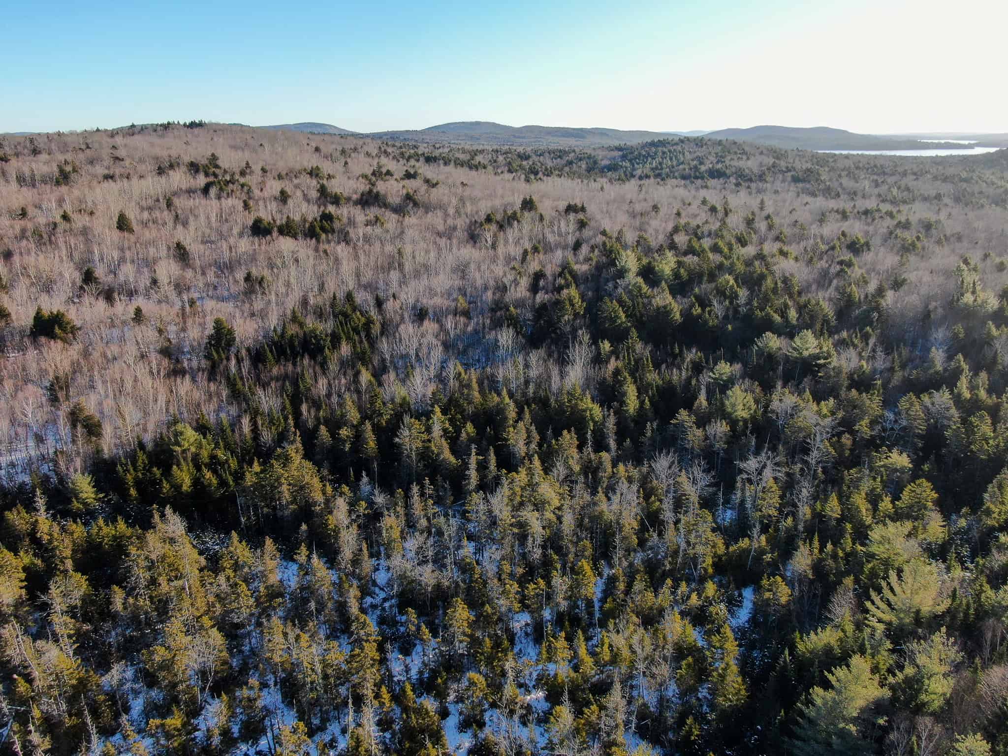 40 Acre Retreat Surrounded by The Downeast Lakes