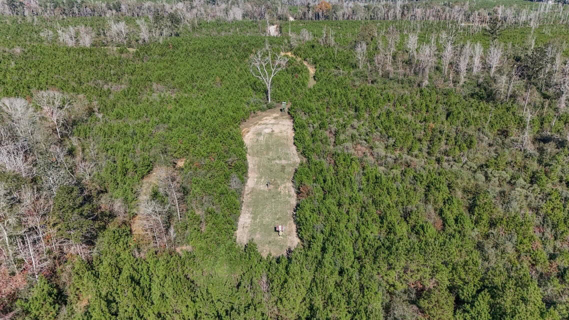150 Acres For Sale Amite County – Will Divide
