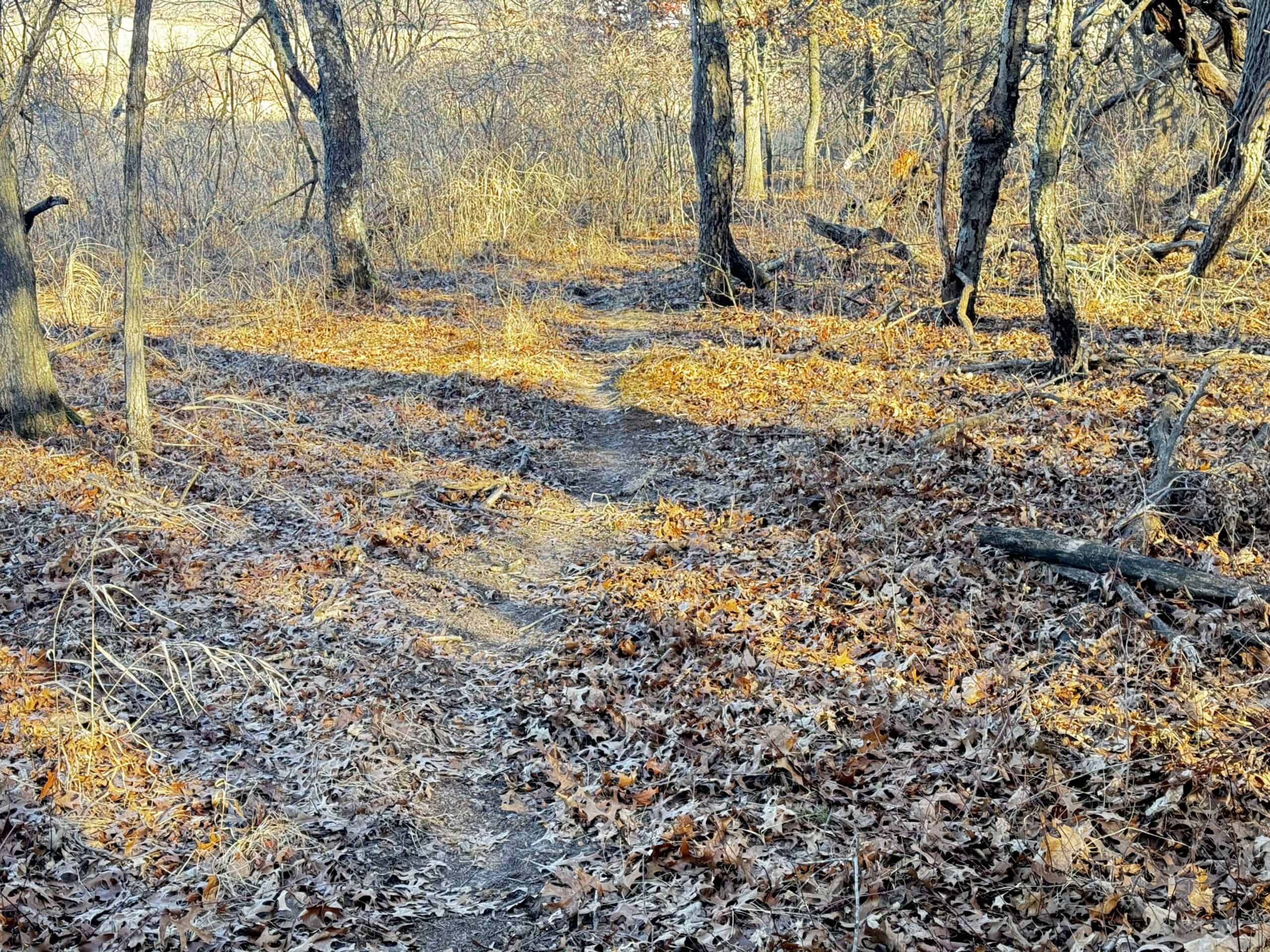 53 acre proven hunting property in Marquette County WI