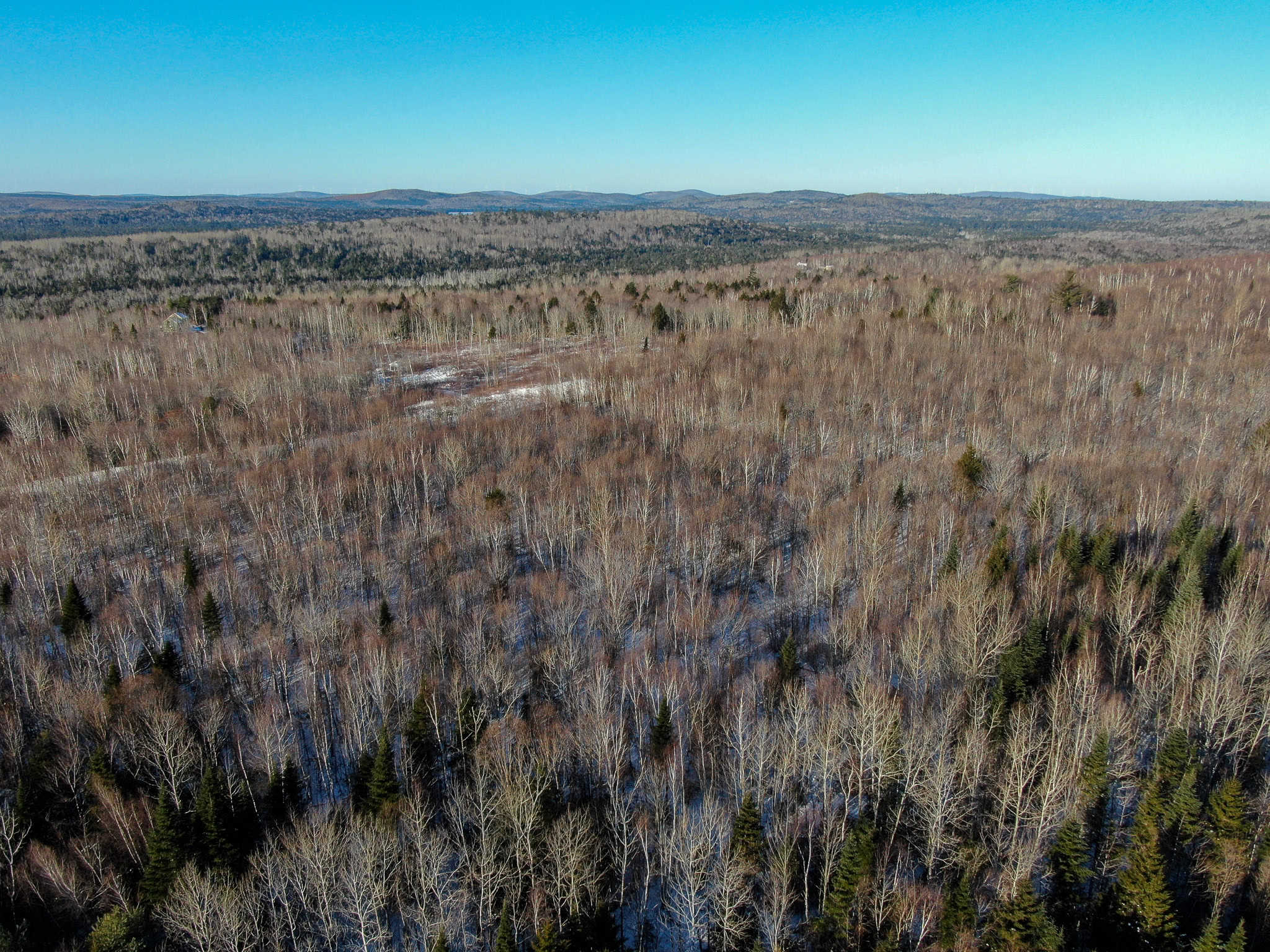 40 Acre Retreat Surrounded by The Downeast Lakes