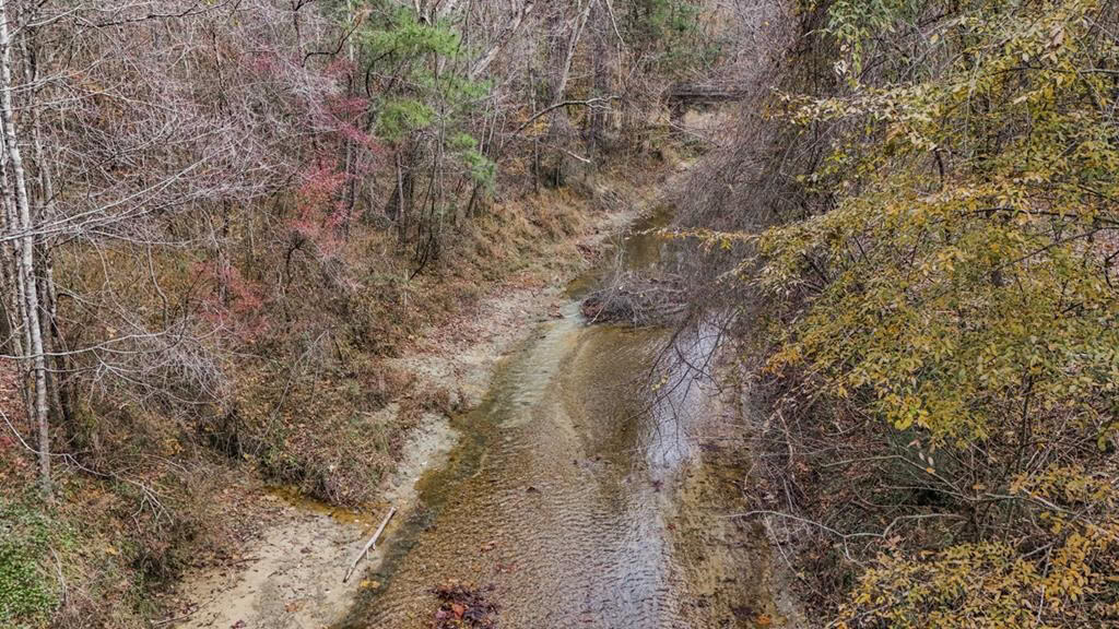 8+- Acres for Sale Just Outside of Brookhaven