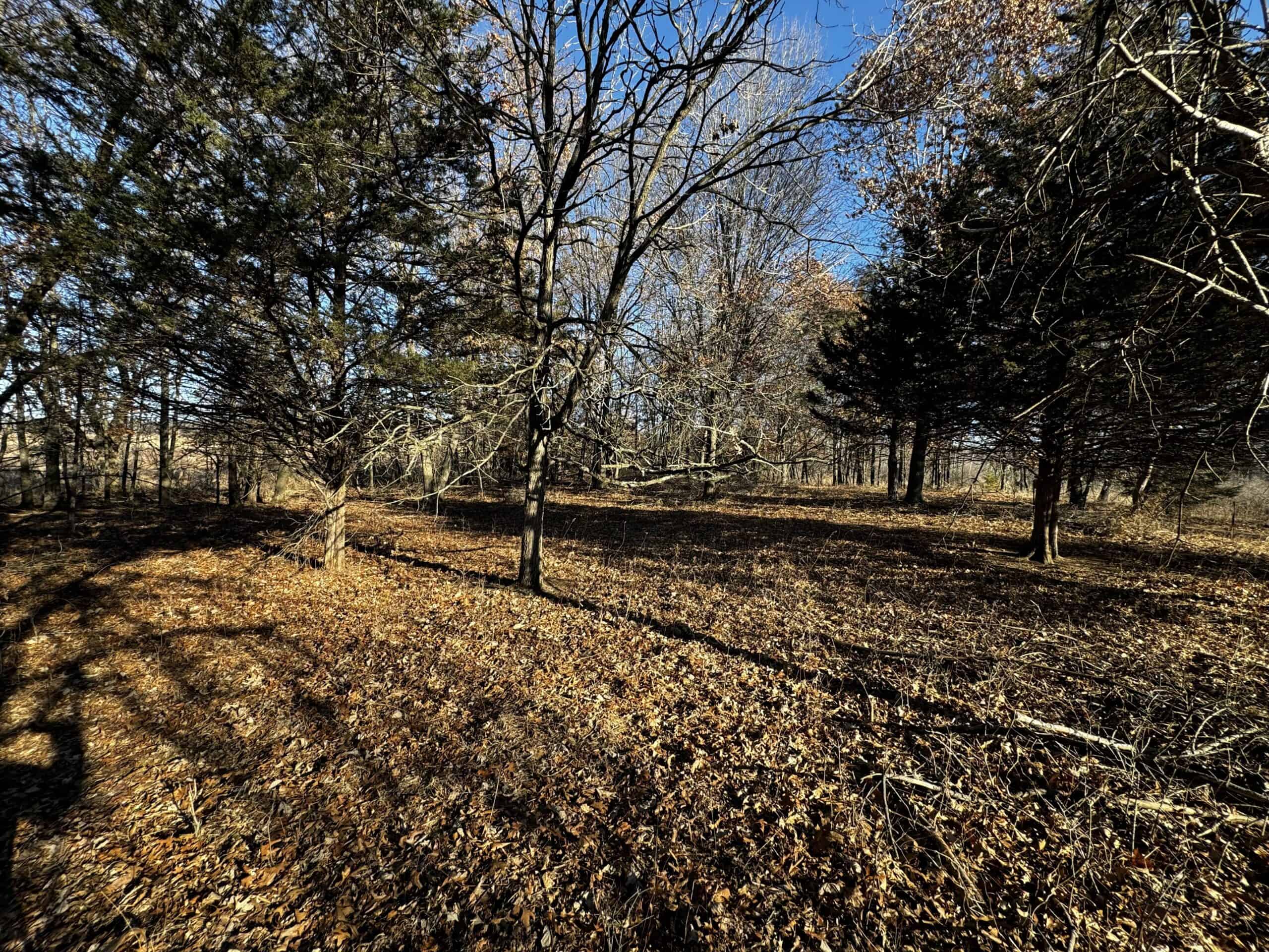 53 acre proven hunting property in Marquette County WI