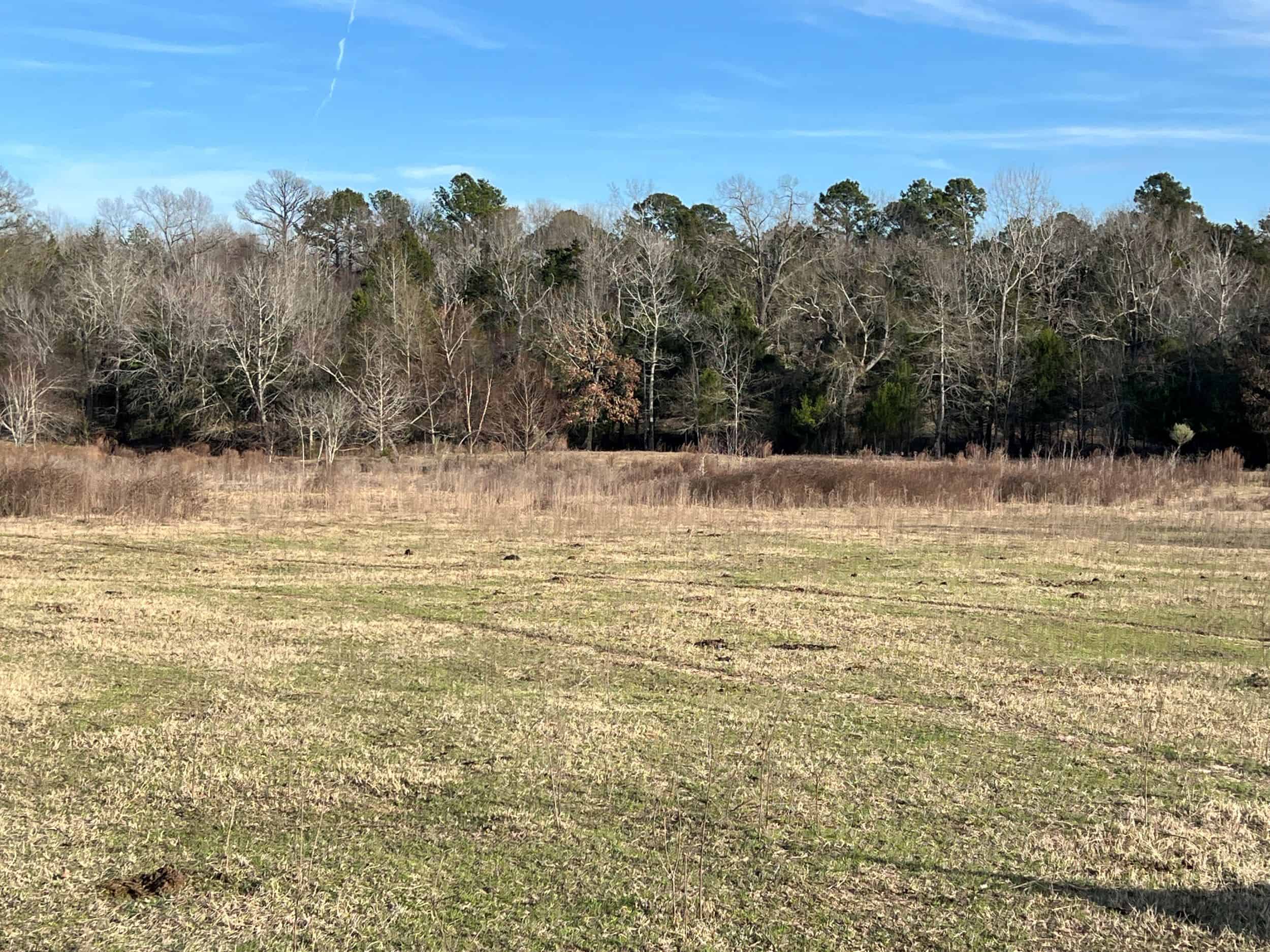 East Texas Hunting & Ranch Land for Sale East of Dallas