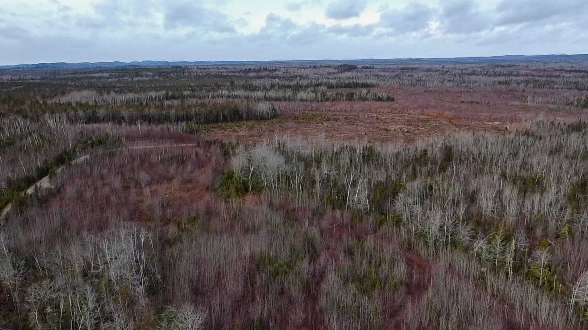 327± Acres with 3500 Feet of Brook Frontage