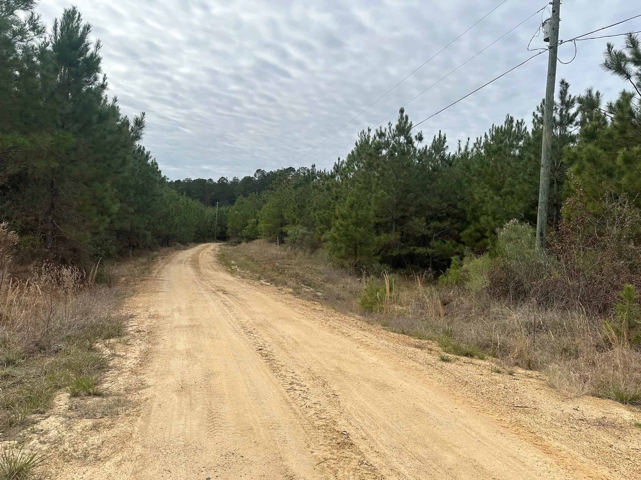 17+/- Acre Homesite and Hunting Property for Sale in Lasalle