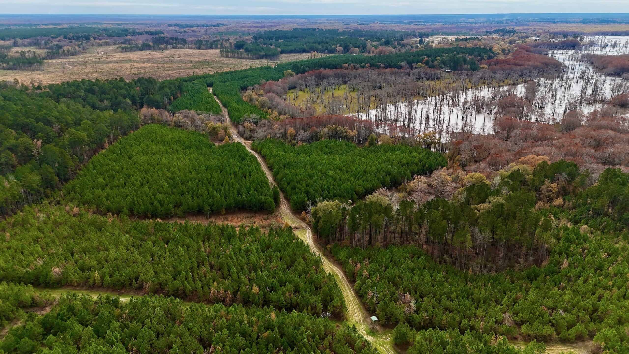 65+/- Acre Hunting Property and Homesite Near Kitterlin Bay