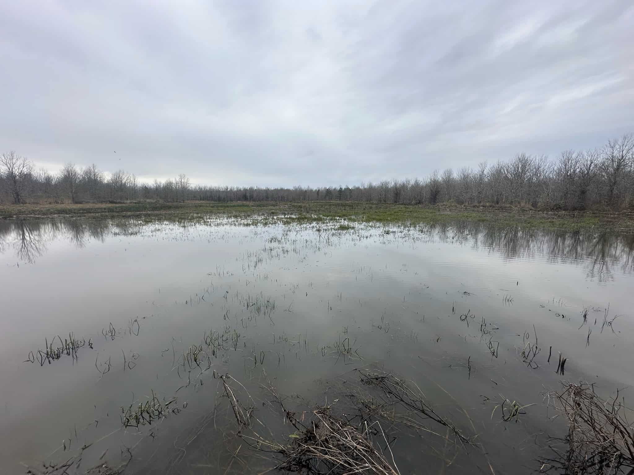 Duck and Deer Hunting Land with a Camp Spot for Sale