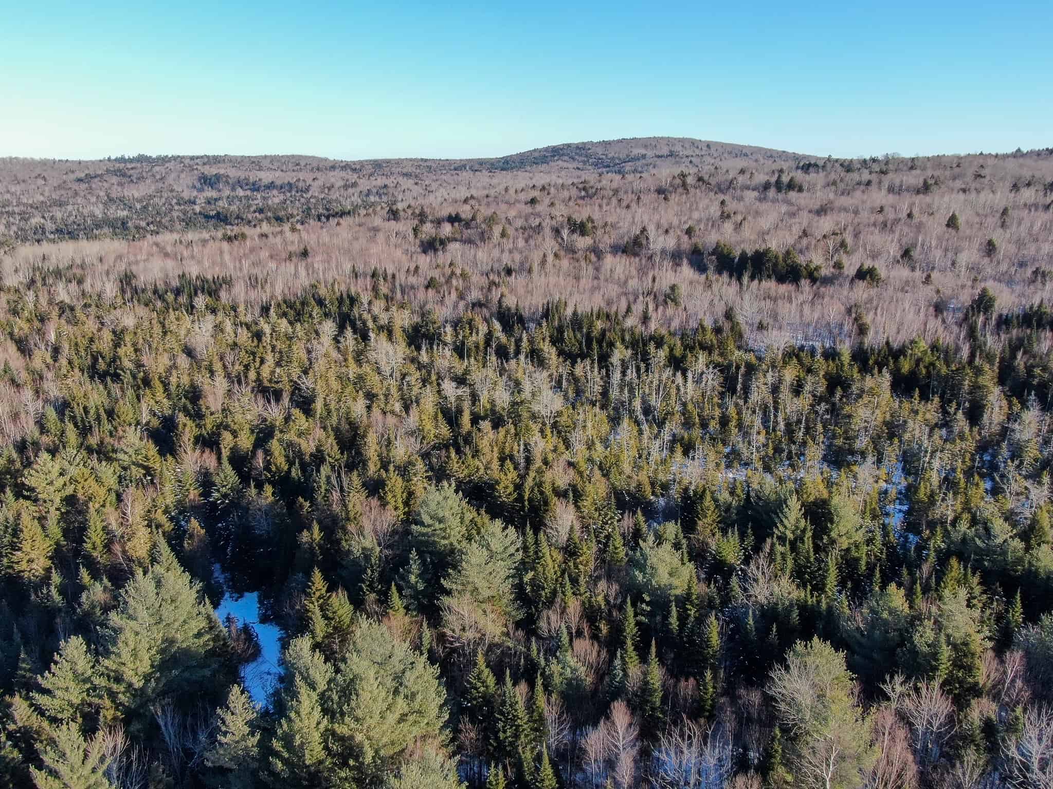 40 Acre Retreat Surrounded by The Downeast Lakes