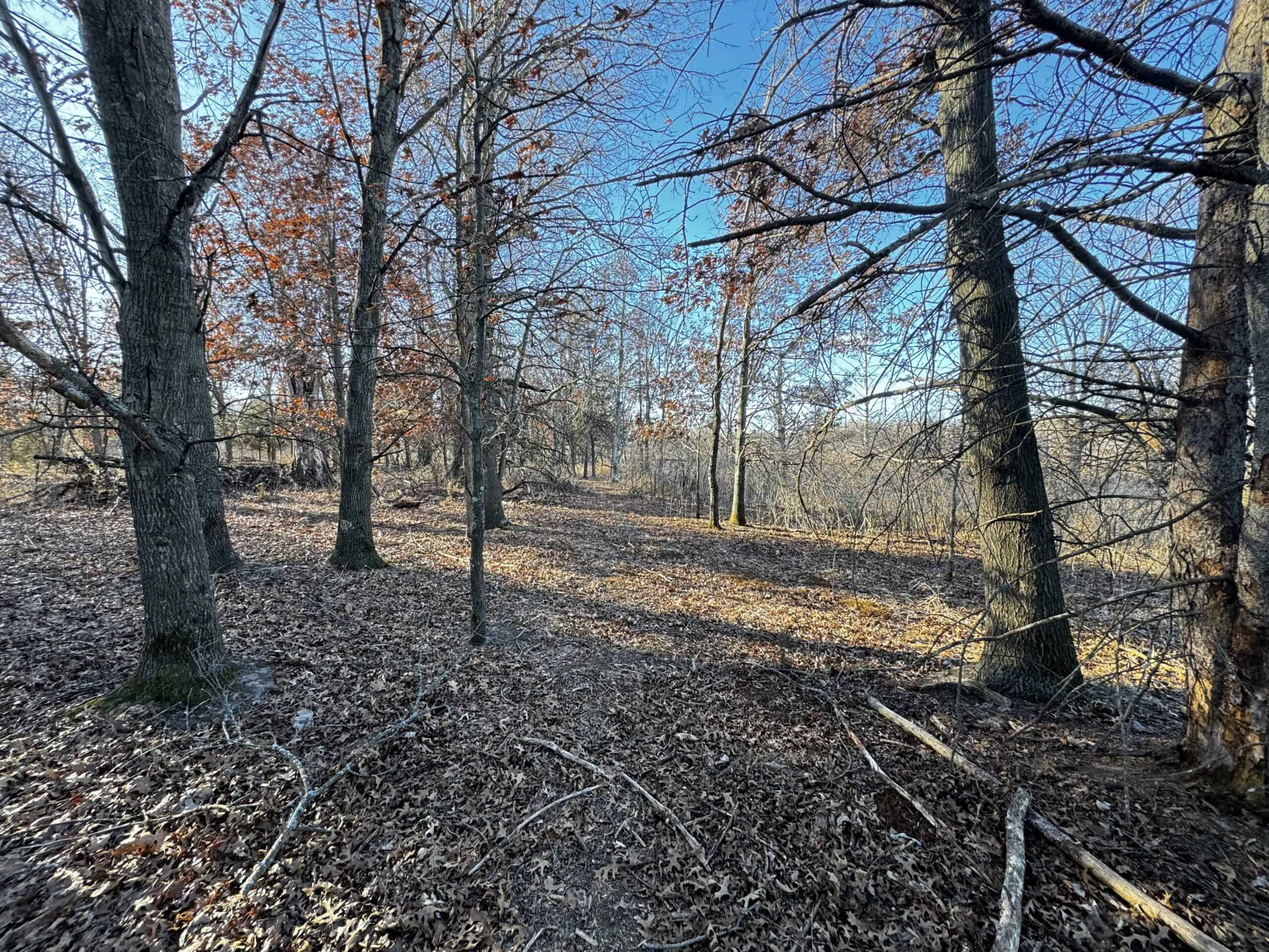 53 acre proven hunting property in Marquette County WI