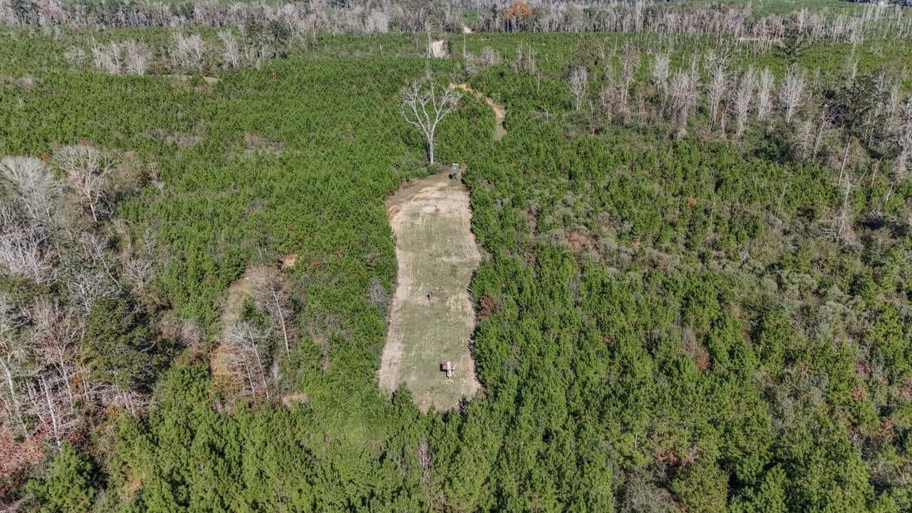 Hunting Land For Sale in Amite County MS