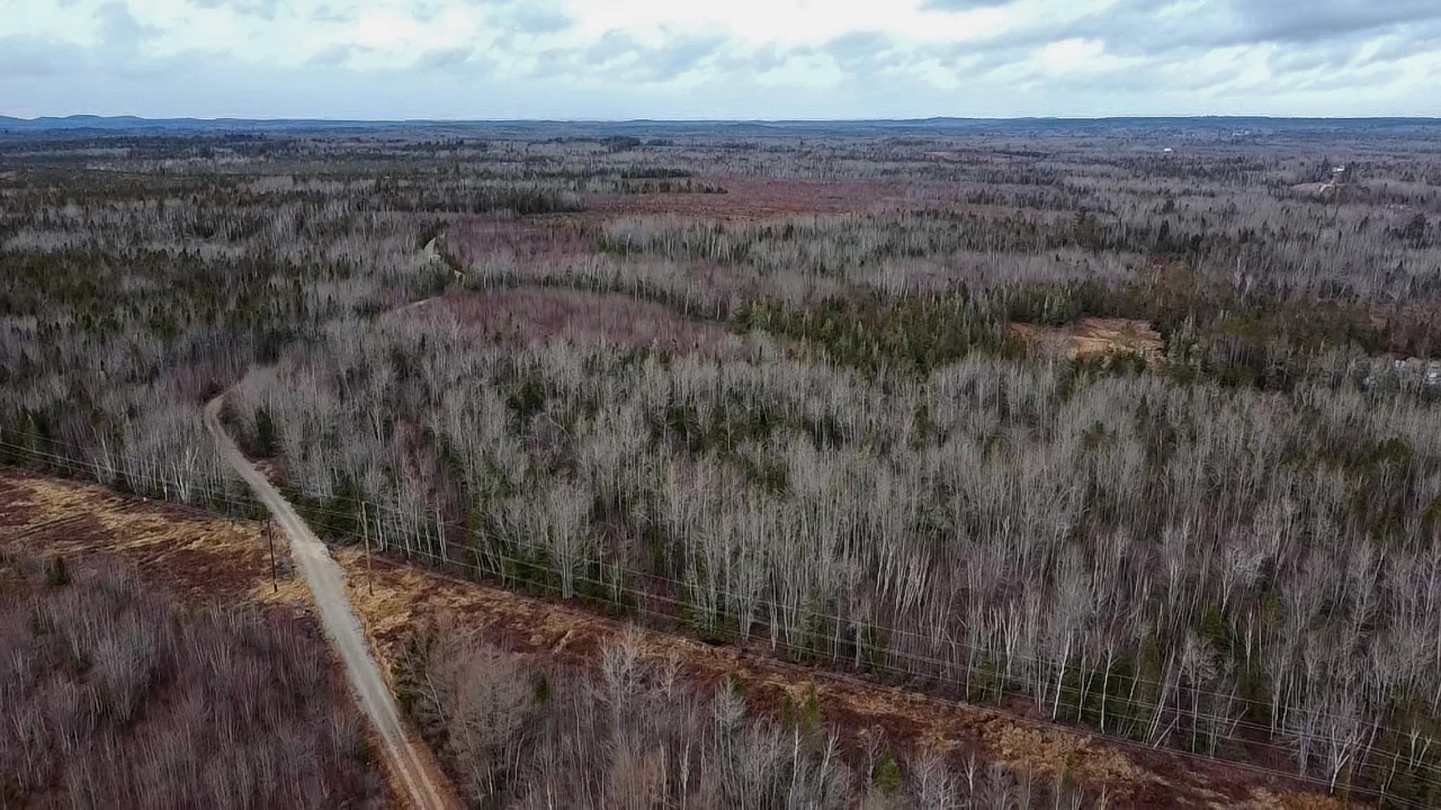 327± Acres with 3500 Feet of Brook Frontage