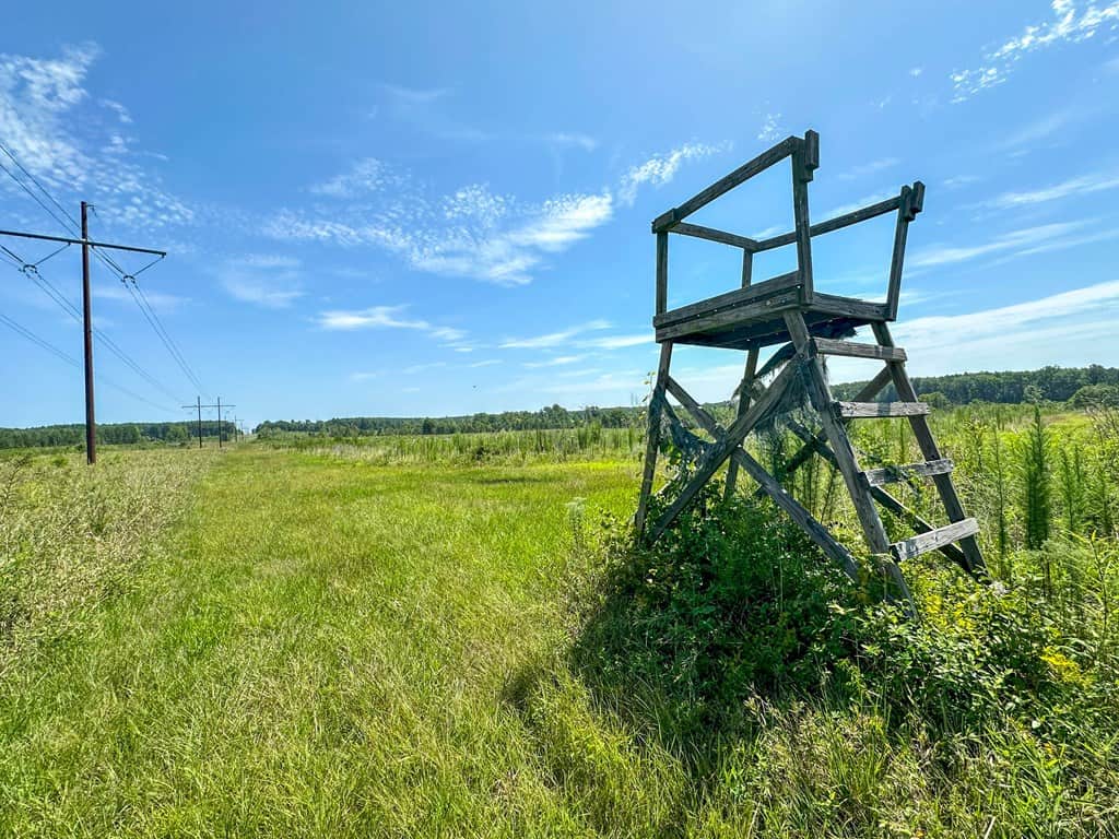 Legacy Investment & Trophy Hunting Estate | 105 Acres | Lunenburg County VA