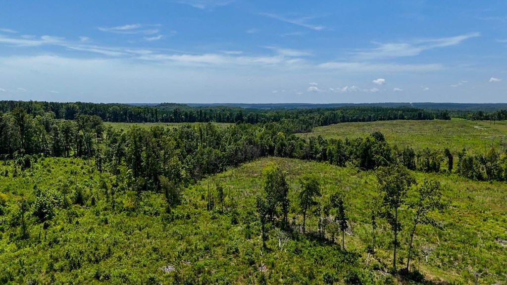 Legacy Investment & Trophy Hunting Estate | 105 Acres | Lunenburg County VA