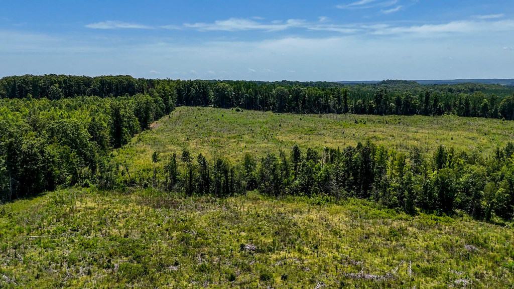Legacy Investment & Trophy Hunting Estate | 105 Acres | Lunenburg County VA