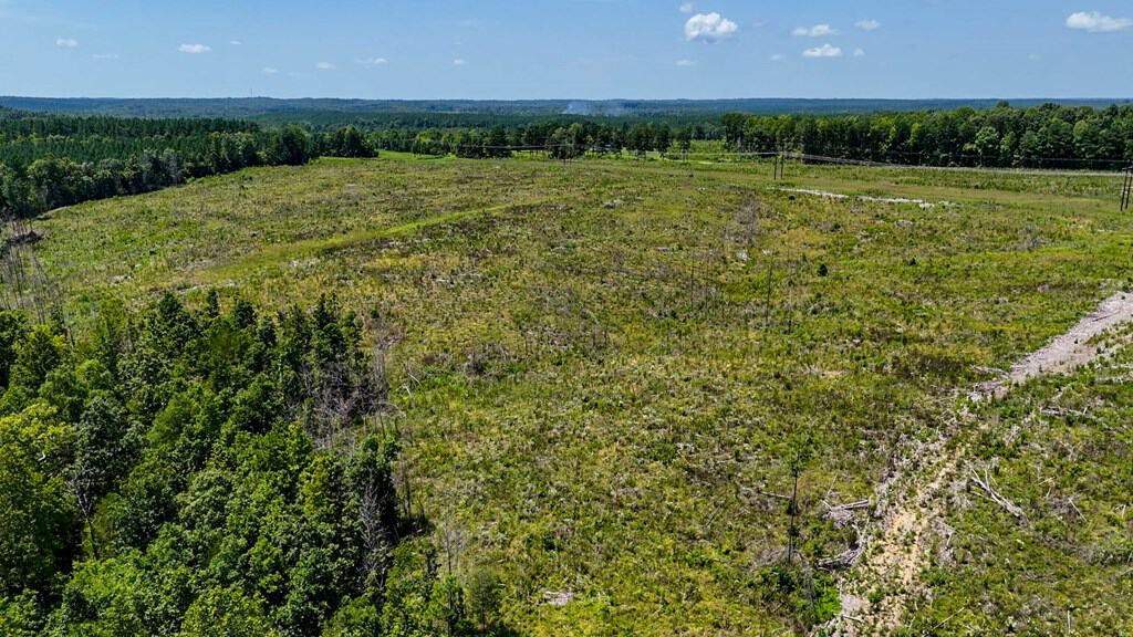 Legacy Investment & Trophy Hunting Estate | 105 Acres | Lunenburg County VA