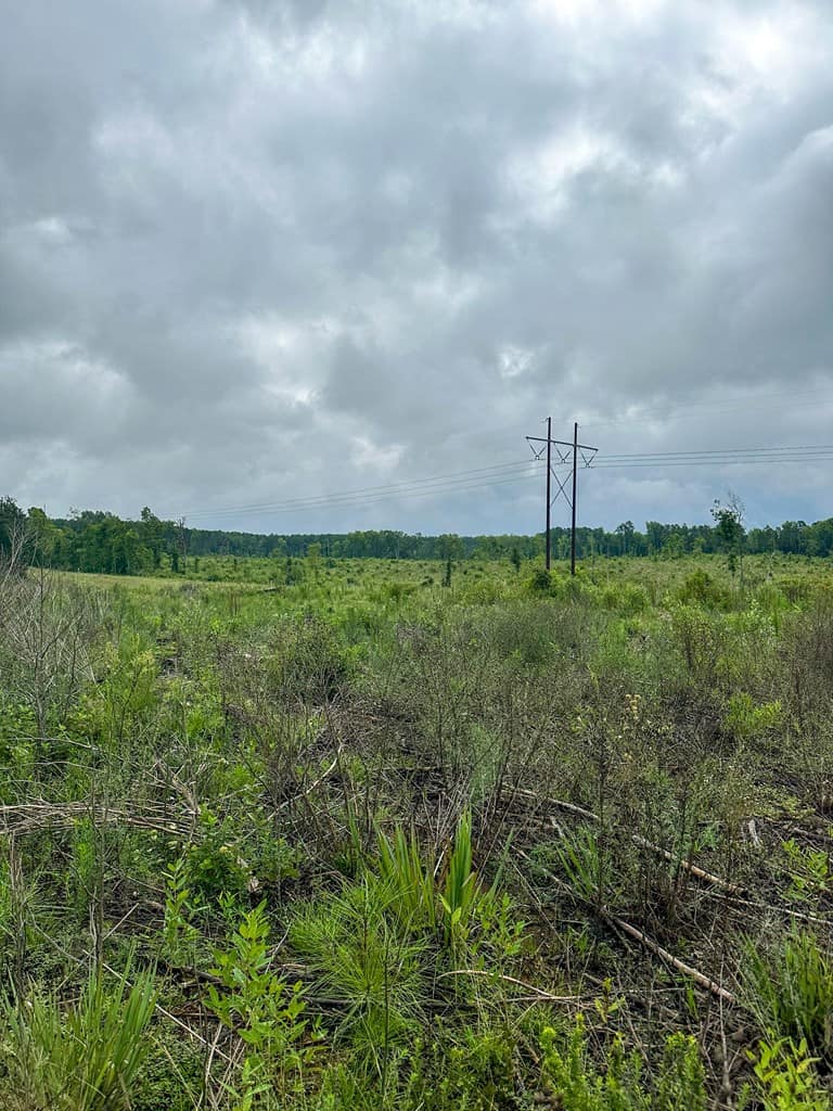Legacy Investment & Trophy Hunting Estate | 105 Acres | Lunenburg County VA