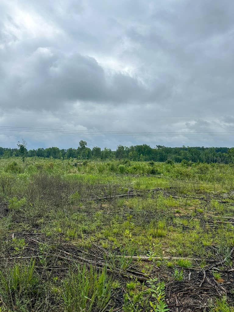 Legacy Investment & Trophy Hunting Estate | 105 Acres | Lunenburg County VA