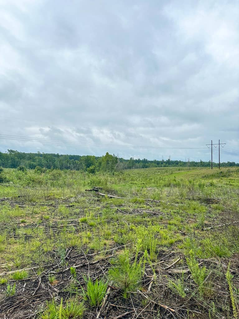 Legacy Investment & Trophy Hunting Estate | 105 Acres | Lunenburg County VA