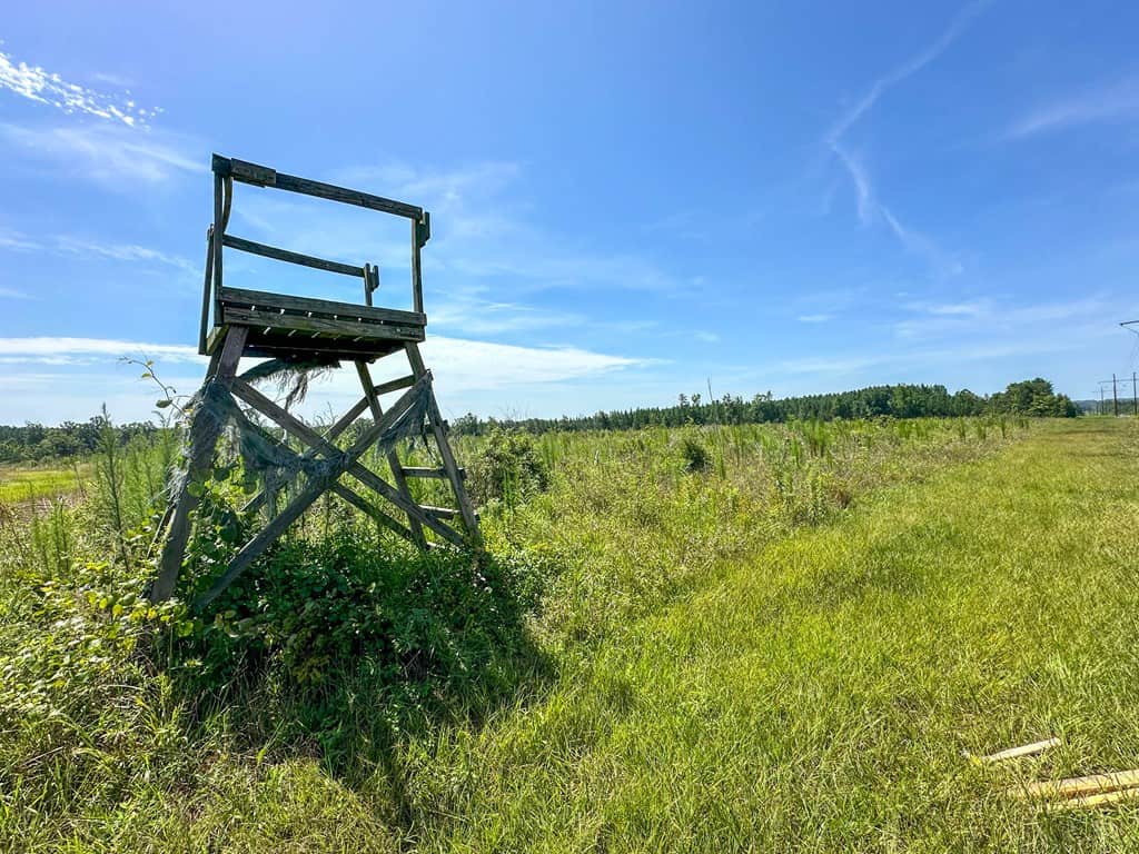 Legacy Investment & Trophy Hunting Estate | 105 Acres | Lunenburg County VA