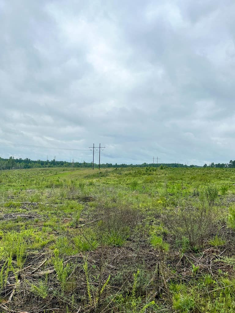 Legacy Investment & Trophy Hunting Estate | 105 Acres | Lunenburg County VA