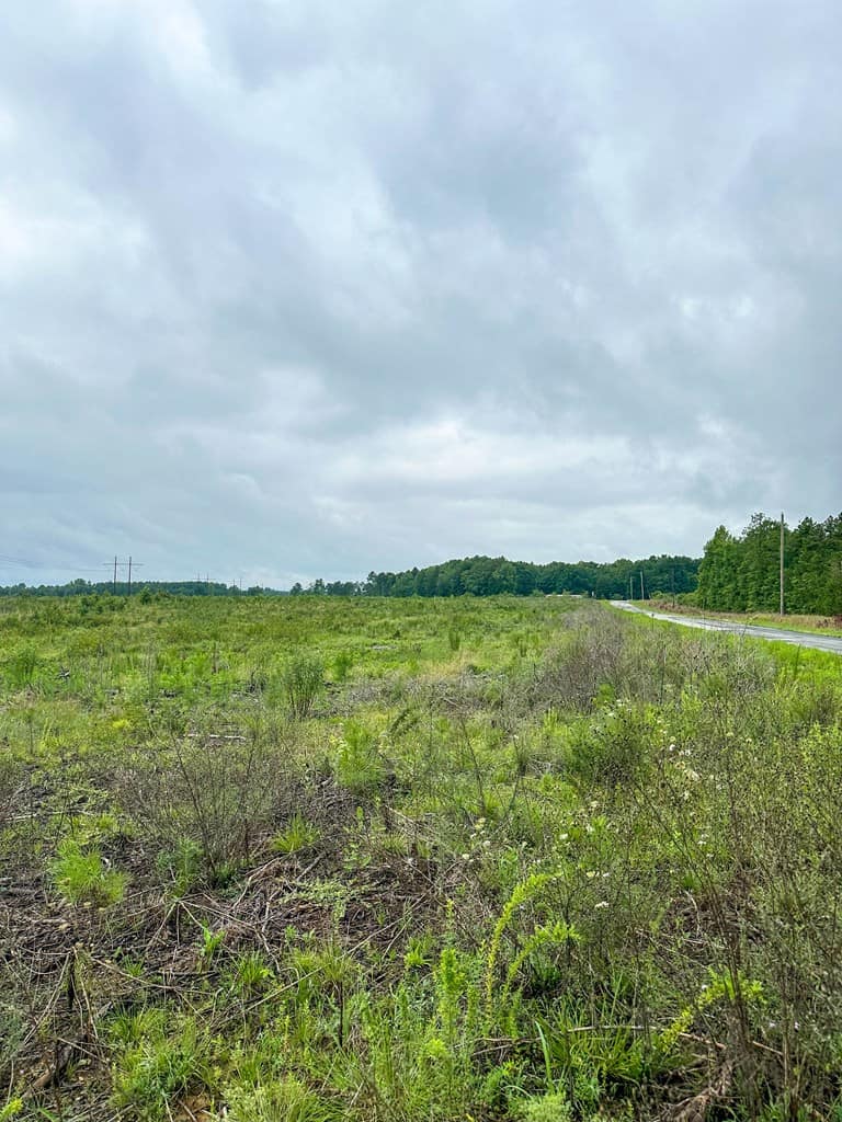 Legacy Investment & Trophy Hunting Estate | 105 Acres | Lunenburg County VA