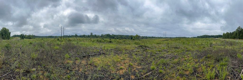 Legacy Investment & Trophy Hunting Estate | 105 Acres | Lunenburg County VA