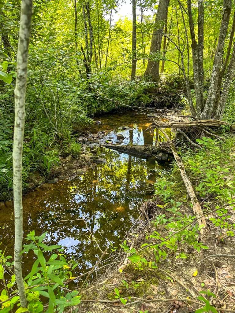 Legacy Investment & Trophy Hunting Estate | 105 Acres | Lunenburg County VA