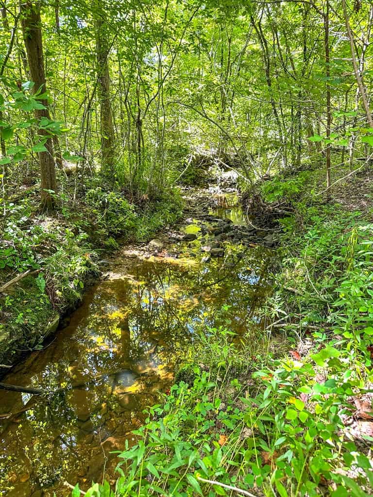 Legacy Investment & Trophy Hunting Estate | 105 Acres | Lunenburg County VA